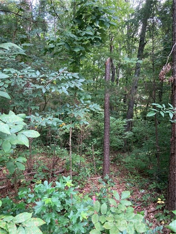 00 Pink Dogwood Ave, Lancaster, SC 29720