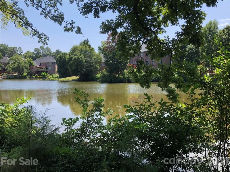 1333 Clifflure Ln, Fort Mill, SC 29708
