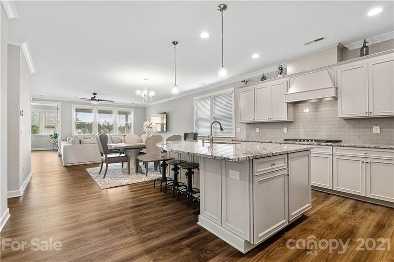 809 Cadence Park Pl, Tega Cay, SC 29708