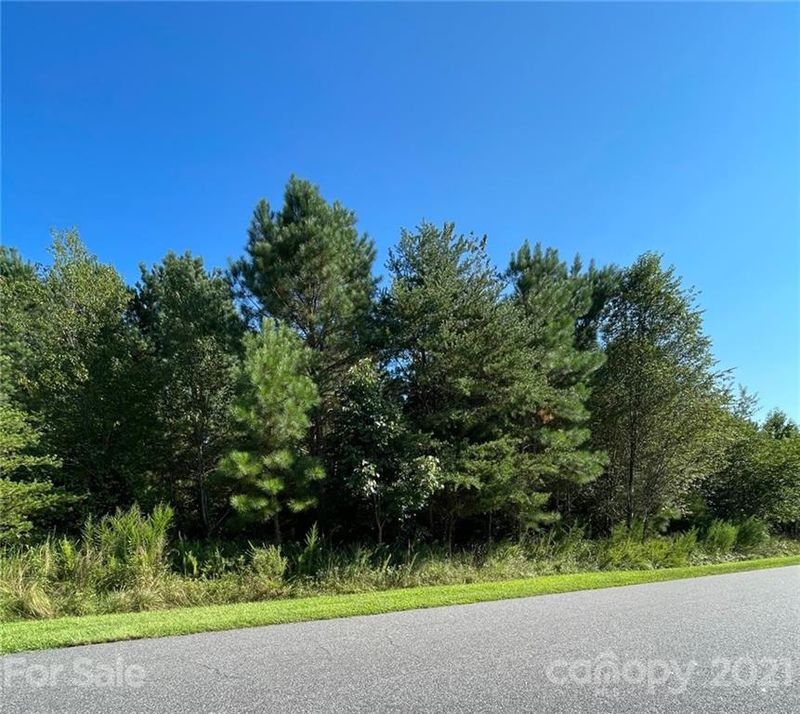 261 Rivercliff Dr, Stony Point, NC 28678