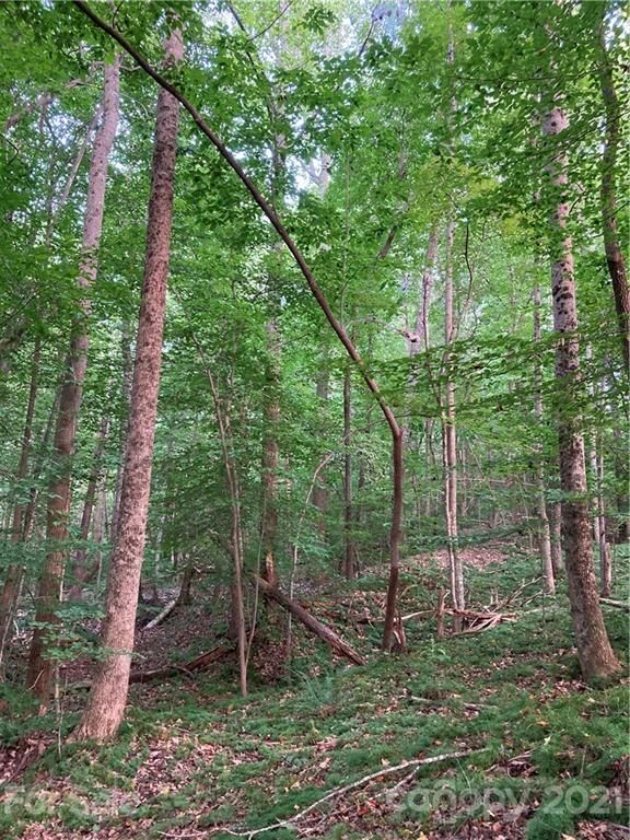 1070 Flannagan Dr, Newton, NC 28658