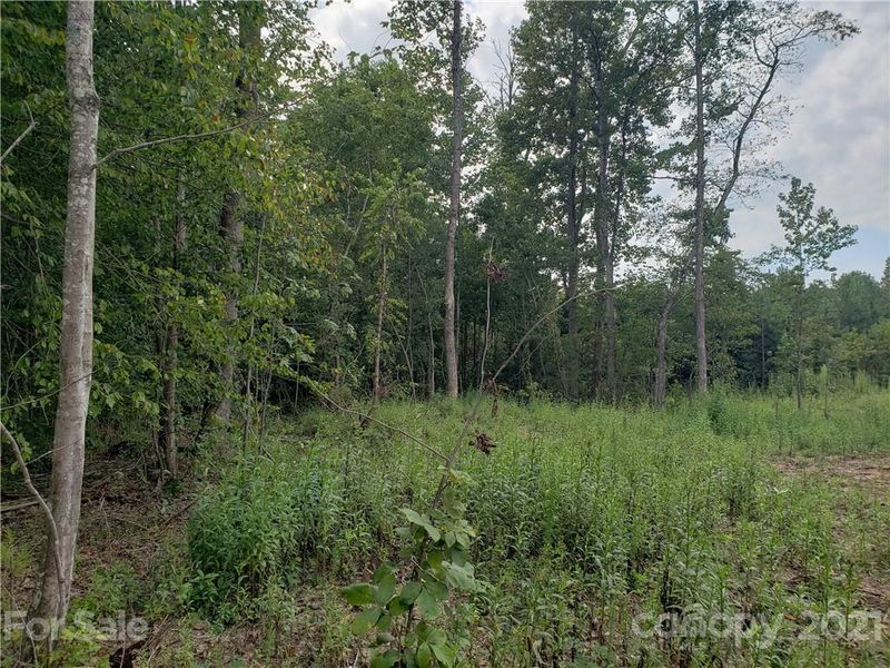 00 Mosley Rd #12, Blacksburg, SC 29702