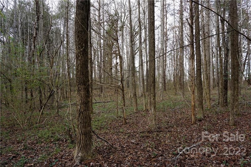 9 AC Burree Rd, Clover, SC 29710