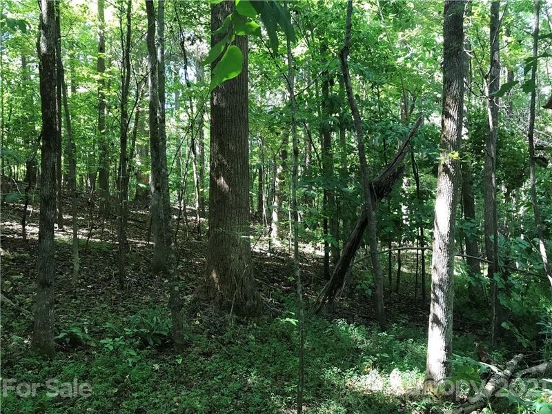 8714 Brookgreen Dr, Mint Hill, NC 28227
