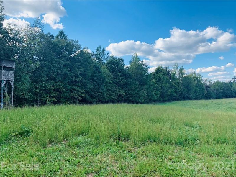 8800 County Line Rd #2, Mount Pleasant, NC 28124