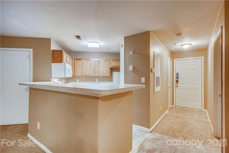 9909 Campus Walk Ln, Charlotte, NC 28262