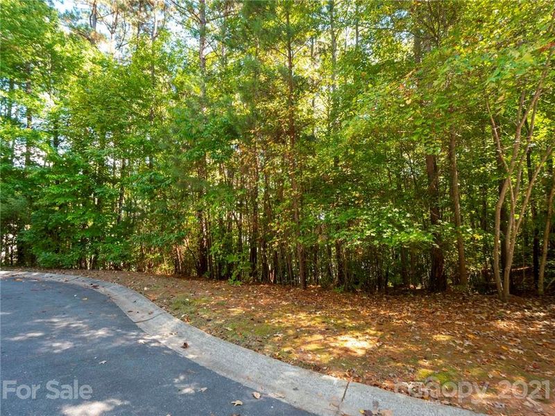 8008 Rocky View Ct, Belmont, NC 28012