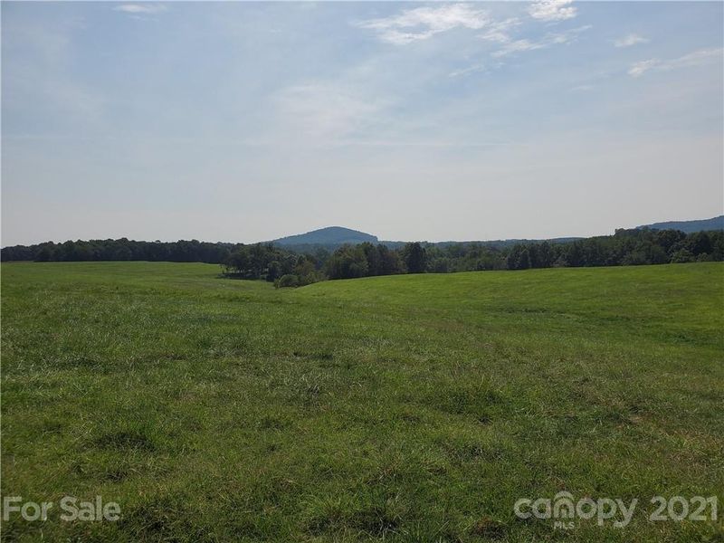 000 Race Path Rd, Union Grove, NC 28689