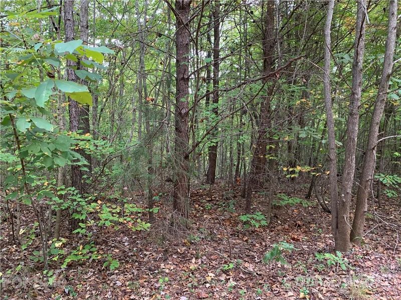 9340 Phelps Rd, Mount Pleasant, NC 28124