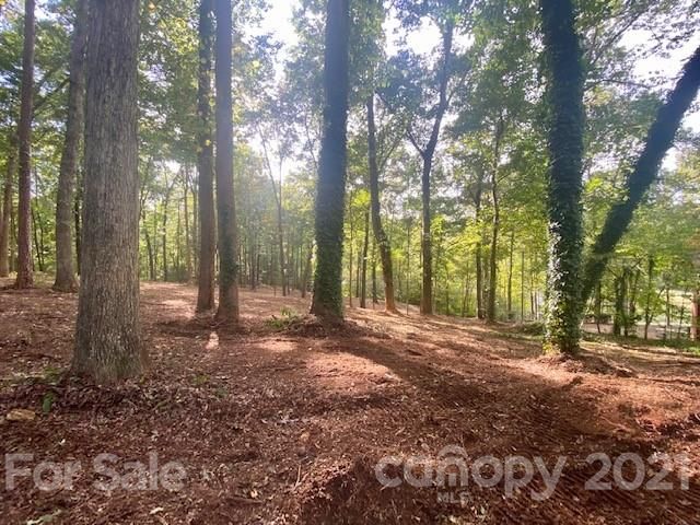 2391 Duckhook Ln NE #5, Conover, NC 28613