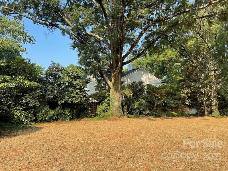 1901 S Wendover Rd, Charlotte, NC 28211