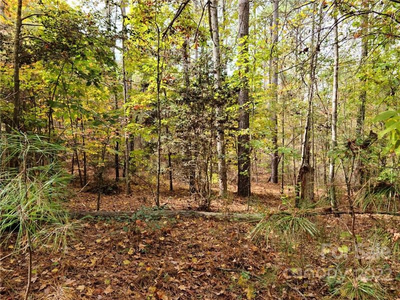 4669 Persimmon Rd #21/Phase 1, Lancaster, SC 29720