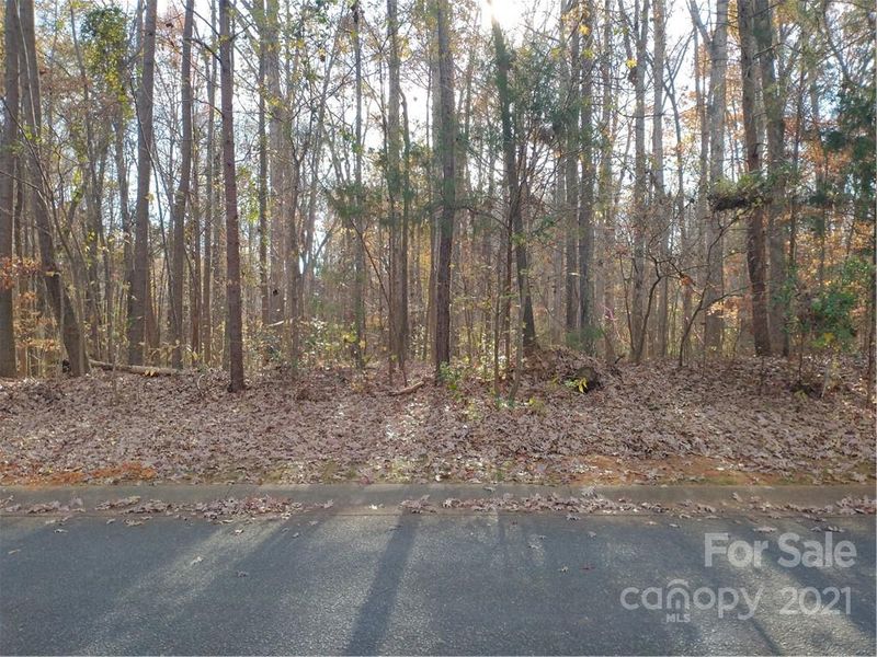 10125 Windtree Ln, Charlotte, NC 28215