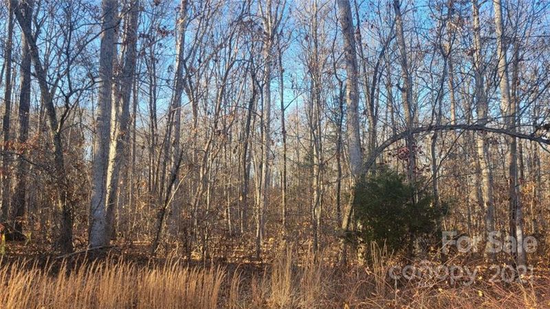 Lot 27 Rolling Creek Dr, Vale, NC 28168