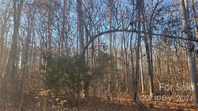 Lot 27 Rolling Creek Dr, Vale, NC 28168