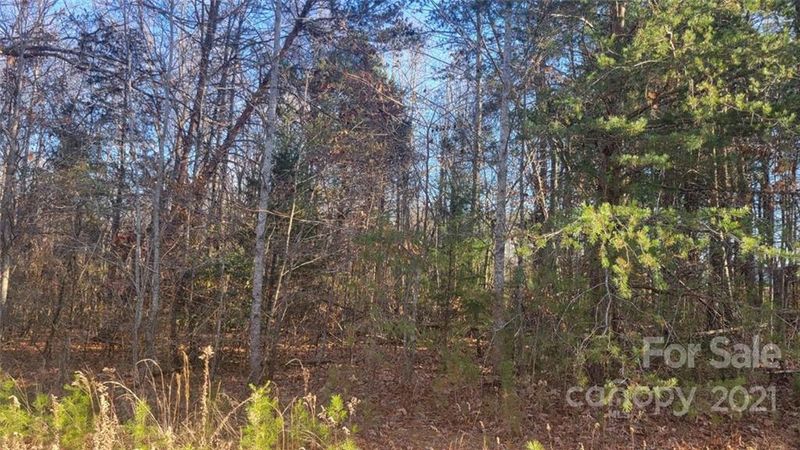 Lot 22 Rolling Creek Dr, Vale, NC 28168