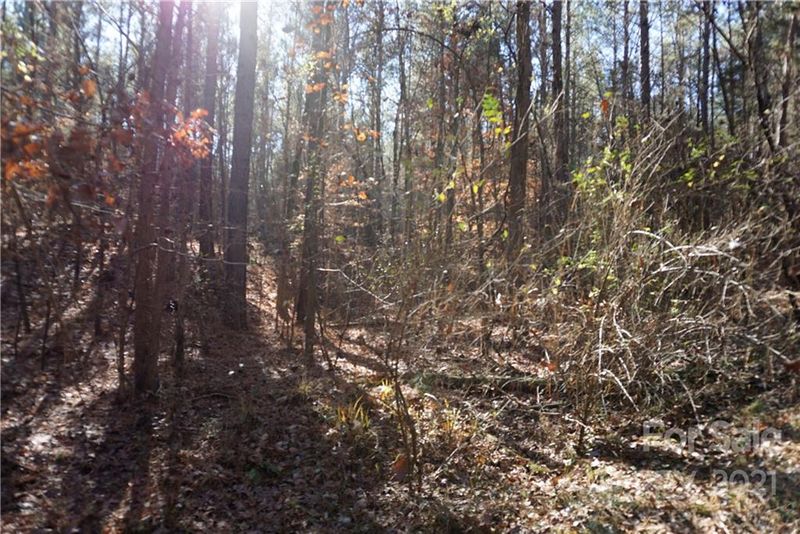 19.5 AC Skyline Rd #6, Chester, SC 29706