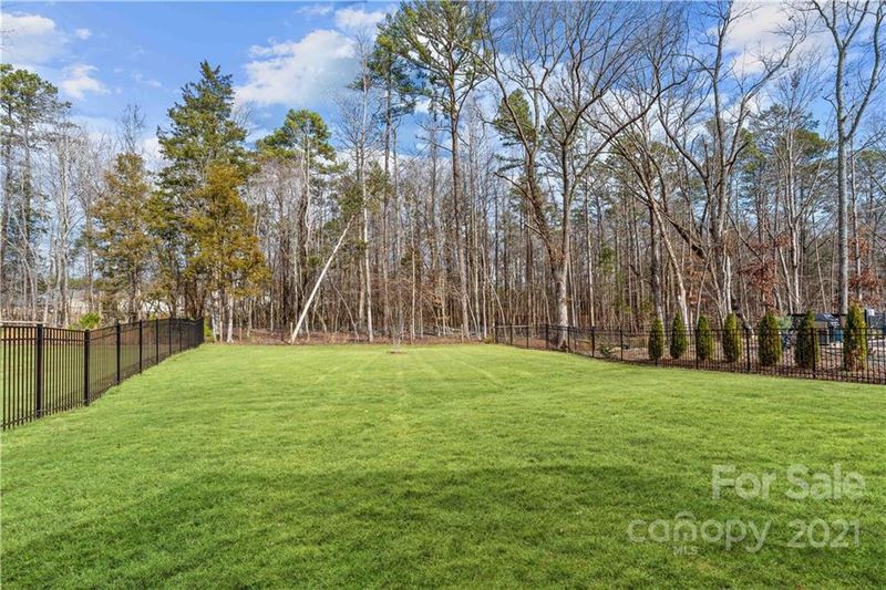 2124 Abundance Ln, Waxhaw, NC 28173