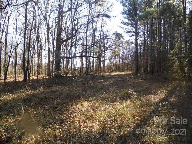 0000 Forest Hills School Rd, Marshville, NC 28103