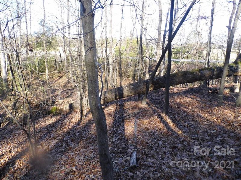 0000 Forest Hills School Rd, Marshville, NC 28103