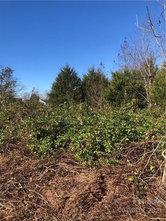 195 Olin Loop #3, Olin, NC 28660