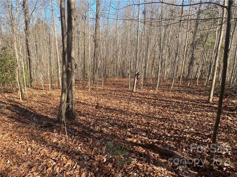3062 Shell Hollar Rd, Claremont, NC 28610