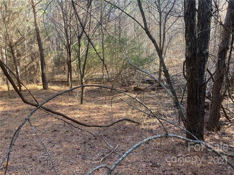 3062 Shell Hollar Rd, Claremont, NC 28610