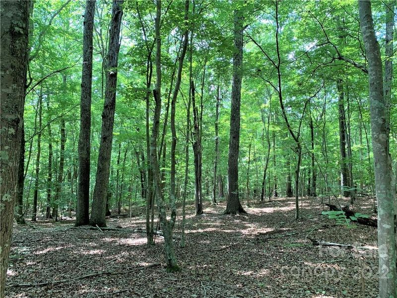 0 Nablus Rd #5, Waxhaw, NC 28173
