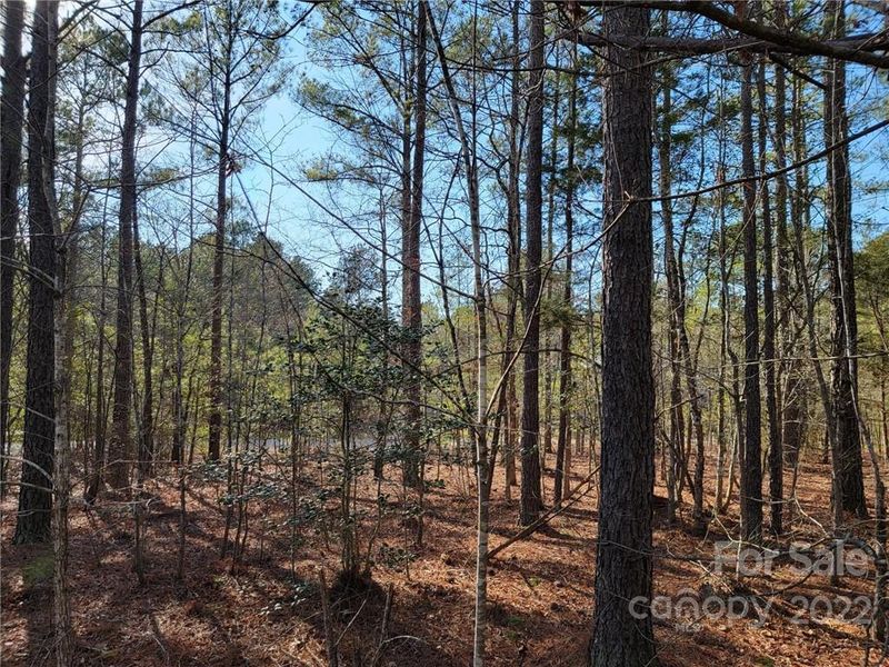 4212 Persimmon Rd #44, Lancaster, SC 29720