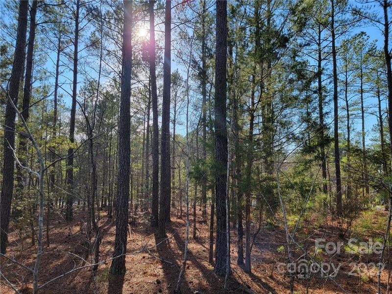 4212 Persimmon Rd #44, Lancaster, SC 29720