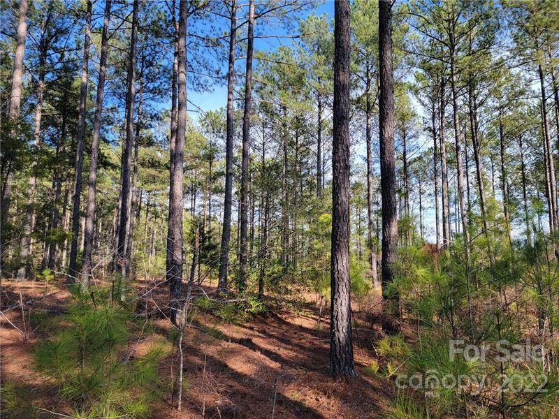 4212 Persimmon Rd #44, Lancaster, SC 29720