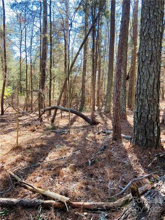 004 W North Corner Rd, Lancaster, SC 29720