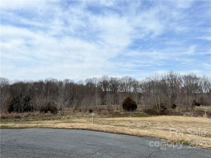 0 Molly Pop Ln, Monroe, NC 28112