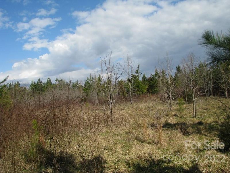 1495 Firetower Rd, Chester, SC 29706