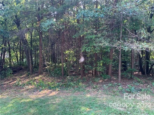 0 Quiet Cove Rd, Mooresville, NC 28117