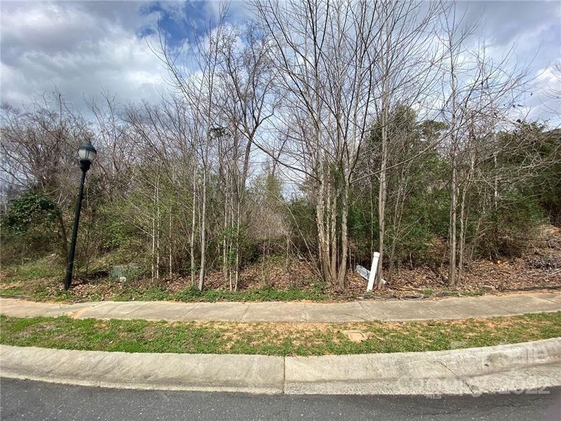 1008 Dacavin Ln, Charlotte, NC 28226