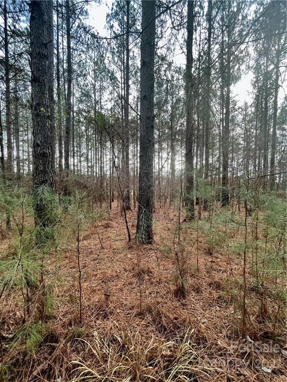 10075 Reed Mine Rd #1, Midland, NC 28107