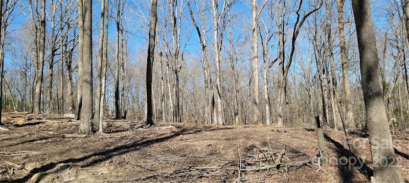 3 acres Simpson Rd, Waxhaw, NC 28173