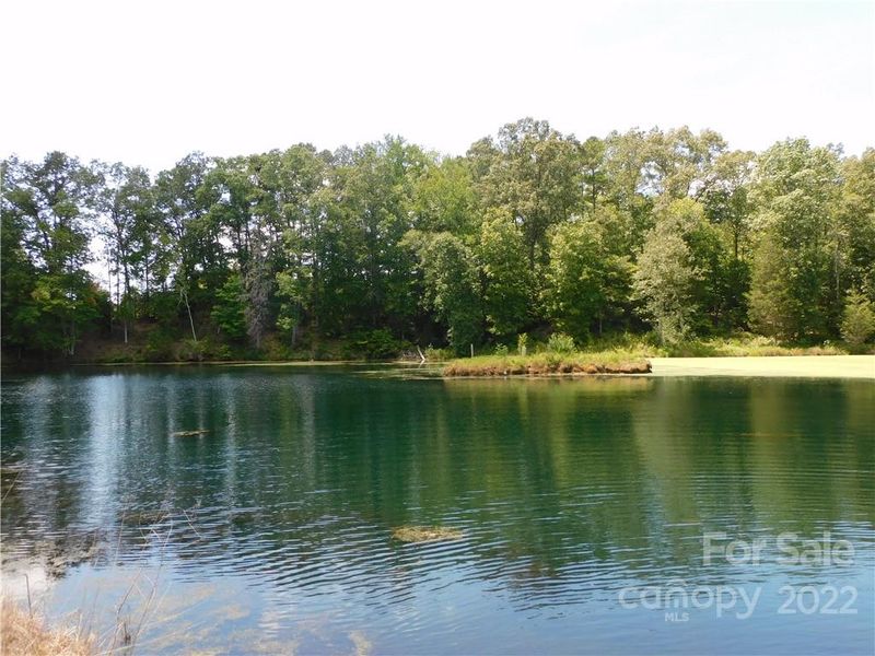 1723 Sharon Rd, York, SC 29745