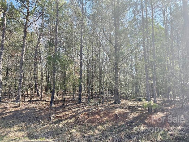 00 Griffin Rd, Lancaster, SC 29720