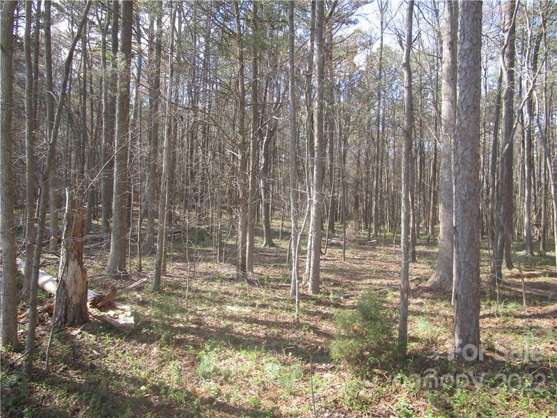 00 Austin Chaney Rd, Wingate, NC 28174
