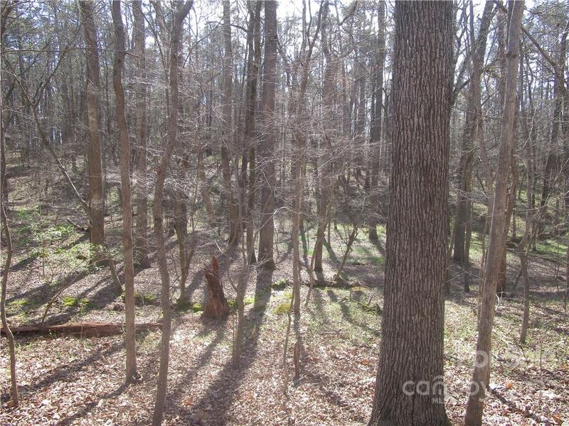 00 Austin Chaney Rd, Wingate, NC 28174