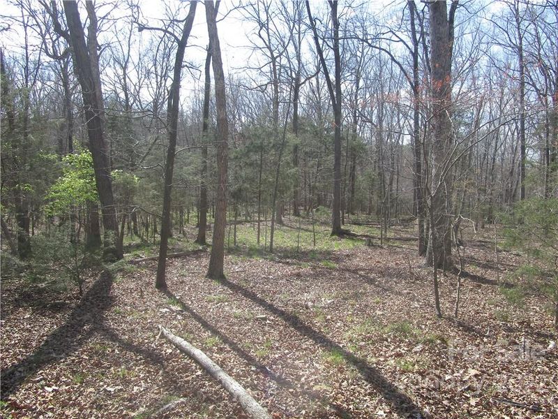 00 Austin Chaney Rd, Wingate, NC 28174