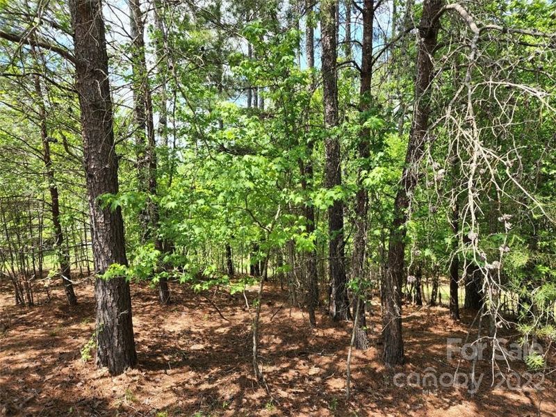 10309 Lakeshore Dr #90, Lancaster, SC 29720