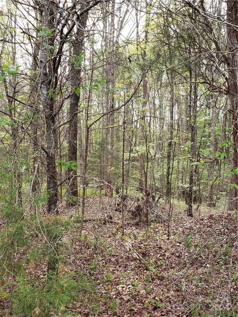 48.96 acre 5070 Harmony Church Rd, Edgemoor, SC 29712
