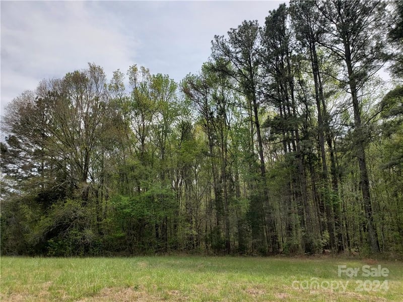48.96 acre 5070 Harmony Church Rd, Edgemoor, SC 29712