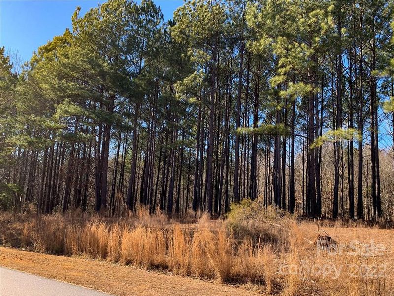 142 Oak Point Ln, Stony Point, NC 28678
