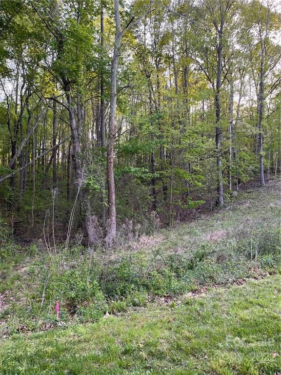 Lot 2 Patternote Rd, Mooresville, NC 28117