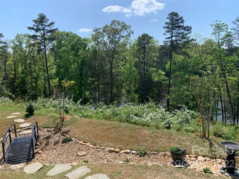 9062 Blue Dasher Dr, Clover, SC 29710