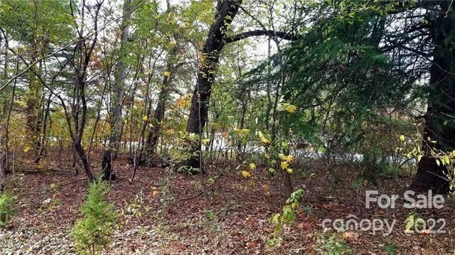 2020 Conover Blvd E, Conover, NC 28613